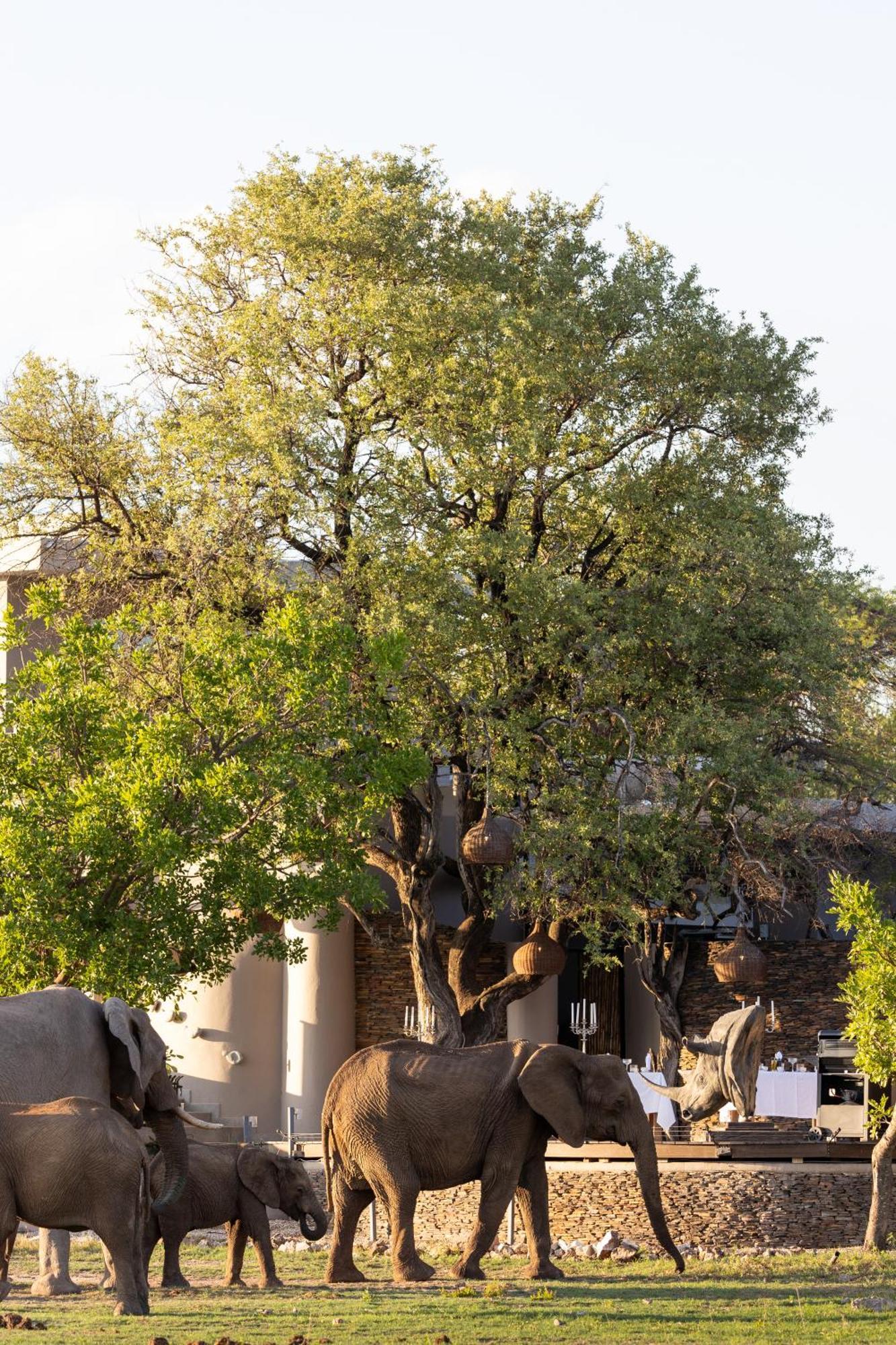 Jamala Madikwe Villa Madikwe Game Reserve Bagian luar foto