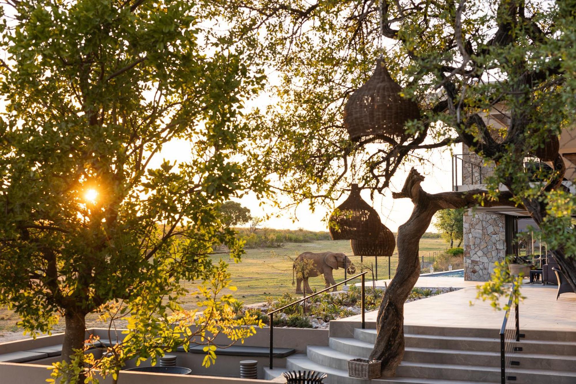 Jamala Madikwe Villa Madikwe Game Reserve Bagian luar foto