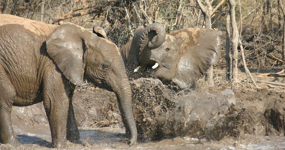 Jamala Madikwe Villa Madikwe Game Reserve Bagian luar foto